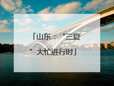 山东：“三夏”大忙进行时