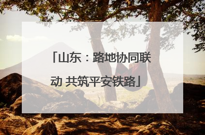 山东：路地协同联动 共筑平安铁路