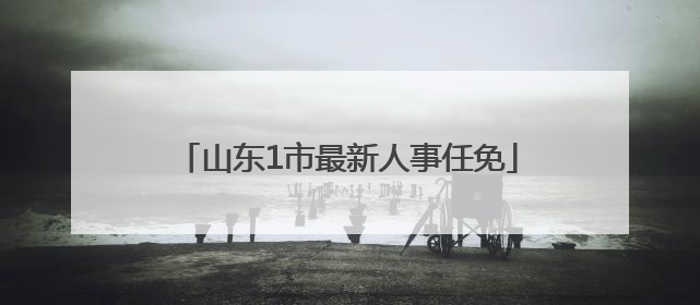 山东1市最新人事任免