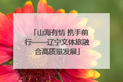 山海有情 携手前行——辽宁文体旅融合高质量发展