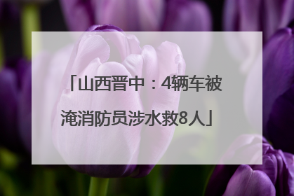 山西晋中：4辆车被淹消防员涉水救8人