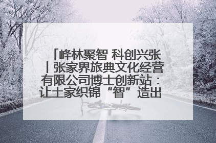 峰林聚智 科创兴张丨张家界旅典文化经营有限公司博士创新站：让土家织锦“智”造出非遗新传奇