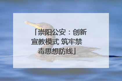 崇阳公安：创新宣教模式 筑牢禁毒思想防线