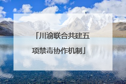 川渝联合共建五项禁毒协作机制