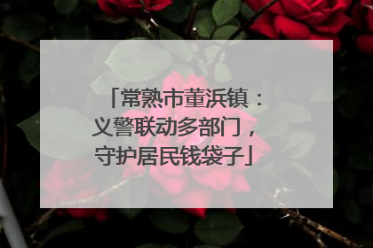 常熟市董浜镇：义警联动多部门，守护居民钱袋子