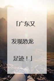 广东又发现恐龙足迹！