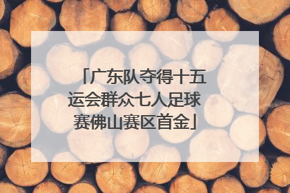 广东队夺得十五运会群众七人足球赛佛山赛区首金