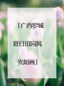 广西罗城夏日田园风光如画