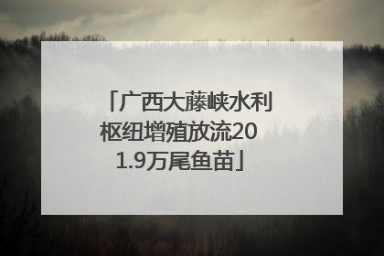 广西大藤峡水利枢纽增殖放流201.9万尾鱼苗