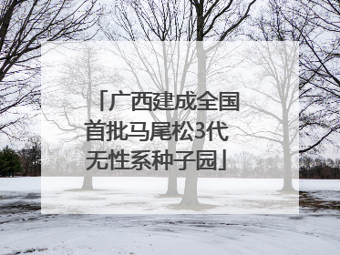 广西建成全国首批马尾松3代无性系种子园