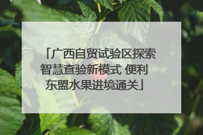 广西自贸试验区探索智慧查验新模式 便利东盟水果进境通关