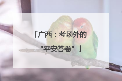 广西：考场外的“平安答卷”