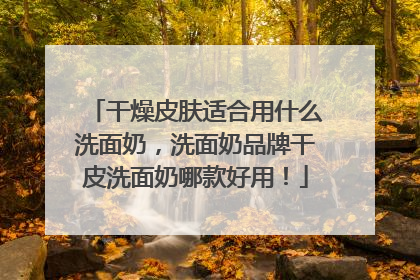 干燥皮肤适合用什么洗面奶，洗面奶品牌干皮洗面奶哪款好用！