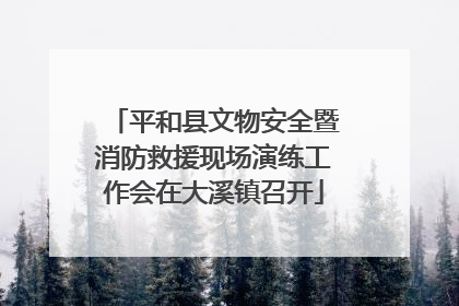 平和县文物安全暨消防救援现场演练工作会在大溪镇召开