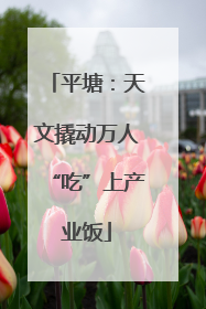 平塘：天文撬动万人“吃”上产业饭
