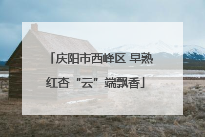 庆阳市西峰区 早熟红杏“云”端飘香