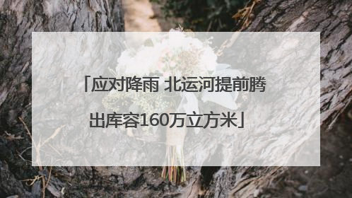 应对降雨 北运河提前腾出库容160万立方米