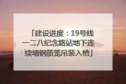 建设进度：19号线一二八纪念路站地下连续墙钢筋笼吊装入槽
