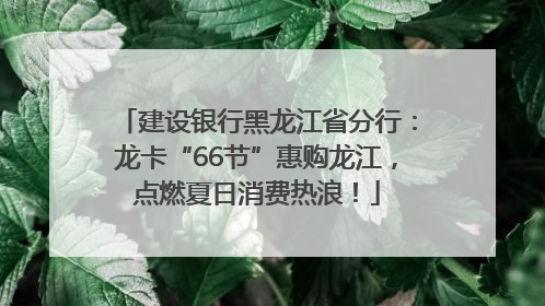 建设银行黑龙江省分行：龙卡“66节”惠购龙江，点燃夏日消费热浪！