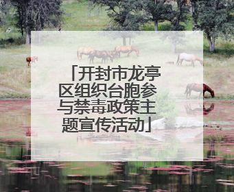 开封市龙亭区组织台胞参与禁毒政策主题宣传活动