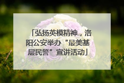 弘扬英模精神，洛阳公安举办“最美基层民警”宣讲活动