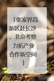 张家界高新区赴长沙、北京考察 力拓产业合作新空间