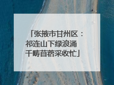 张掖市甘州区：祁连山下绿浪涌 千畴苜蓿采收忙