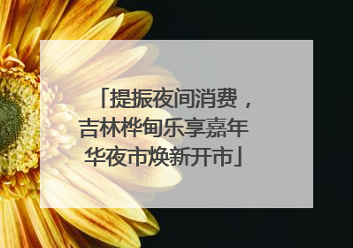 提振夜间消费，吉林桦甸乐享嘉年华夜市焕新开市