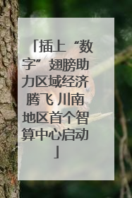 插上“数字”翅膀助力区域经济腾飞 川南地区首个智算中心启动