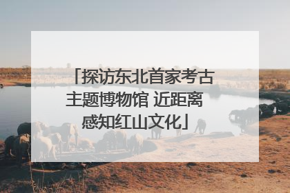 探访东北首家考古主题博物馆 近距离感知红山文化