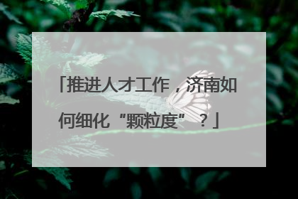 推进人才工作，济南如何细化“颗粒度”？