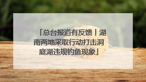 总台报道有反馈丨湖南两地采取行动打击洞庭湖违规钓鱼现象