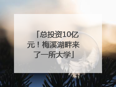 总投资10亿元！梅溪湖畔来了一所大学