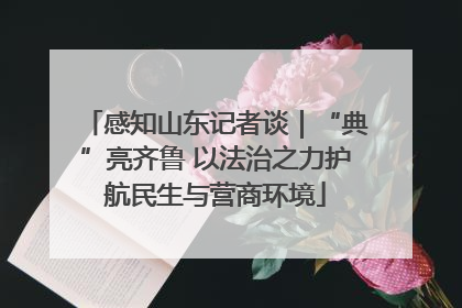 感知山东记者谈｜“典”亮齐鲁 以法治之力护航民生与营商环境
