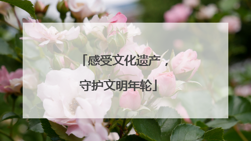 感受文化遗产，守护文明年轮