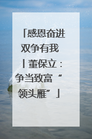 感恩奋进 双争有我丨董保立：争当致富“领头雁”