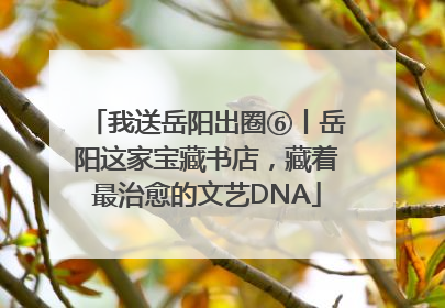 我送岳阳出圈⑥丨岳阳这家宝藏书店，藏着最治愈的文艺DNA