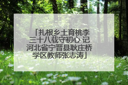 扎根乡土育桃李 三十八载守初心 记河北省宁晋县耿庄桥学区教师张志涛
