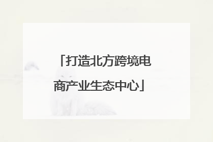 打造北方跨境电商产业生态中心