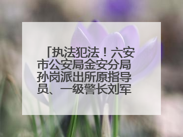 执法犯法！六安市公安局金安分局孙岗派出所原指导员、一级警长刘军被“双开”