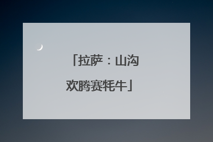 拉萨：山沟欢腾赛牦牛