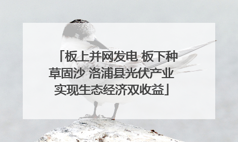 板上并网发电 板下种草固沙 洛浦县光伏产业实现生态经济双收益