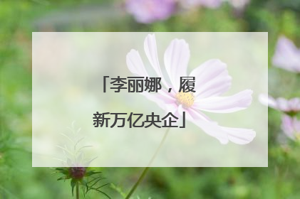 李丽娜，履新万亿央企