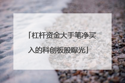 杠杆资金大手笔净买入的科创板股曝光