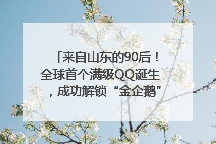 来自山东的90后！全球首个满级QQ诞生，成功解锁“金企鹅”，是继承父亲账号