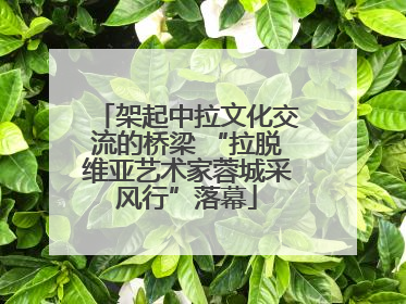 架起中拉文化交流的桥梁 “拉脱维亚艺术家蓉城采风行”落幕