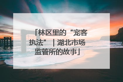 林区里的“宠客执法”｜湖北市场监管所的故事