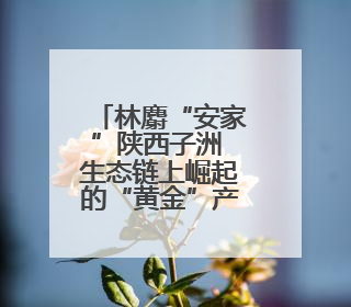 林麝“安家”陕西子洲 生态链上崛起的“黄金”产业