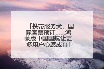 携带服务犬、国际客票预订……鸿蒙版中国国航让更多用户心愿成真