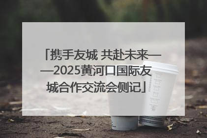 携手友城 共赴未来——2025黄河口国际友城合作交流会侧记